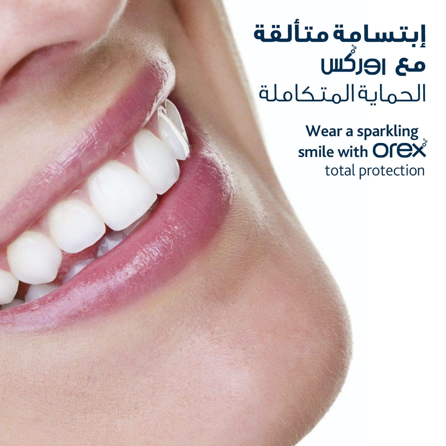 Orex Dental Flossers With Resealable Bag 60 pcs