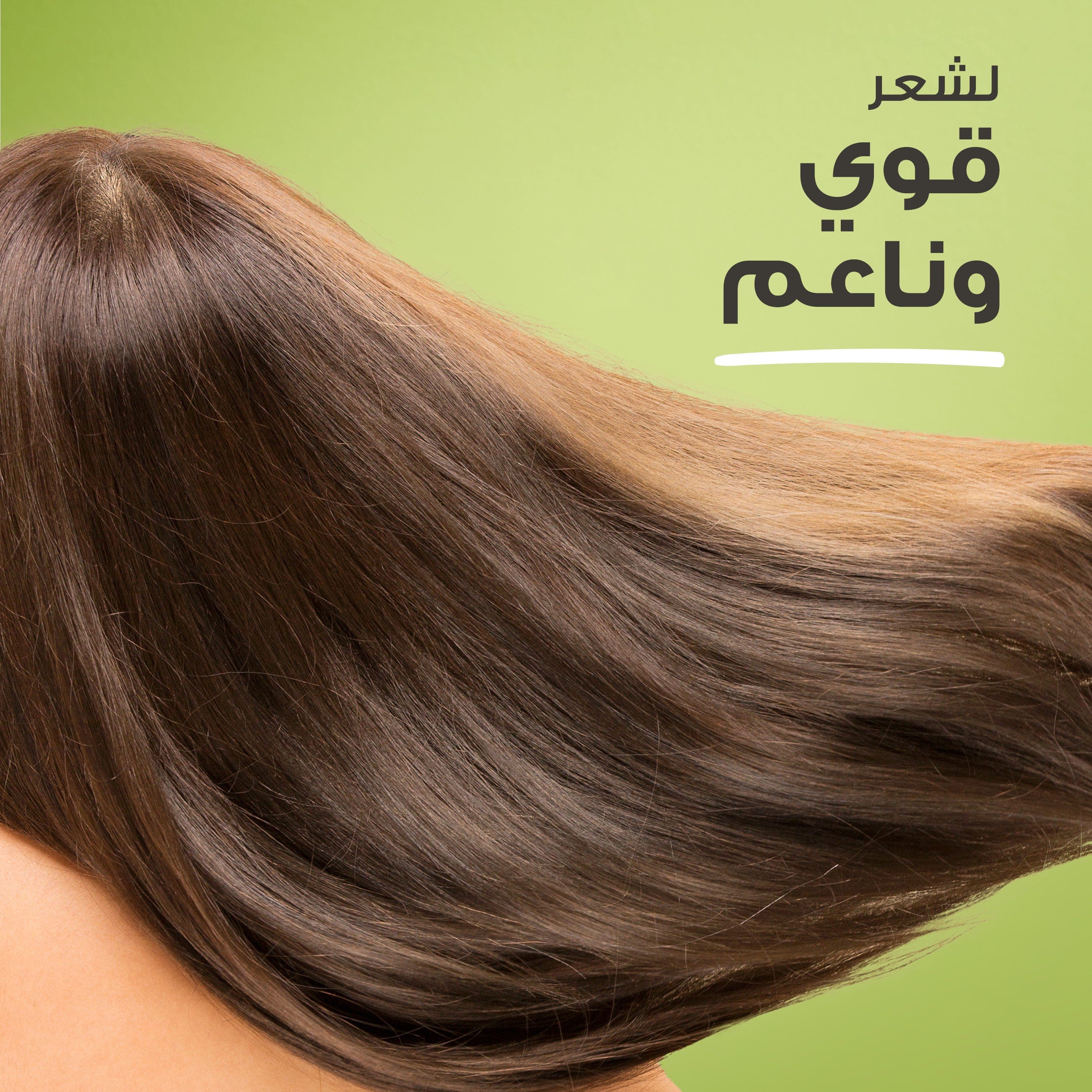 Hair Food Shampoo with Avocado & Argan Oil, 300 ml