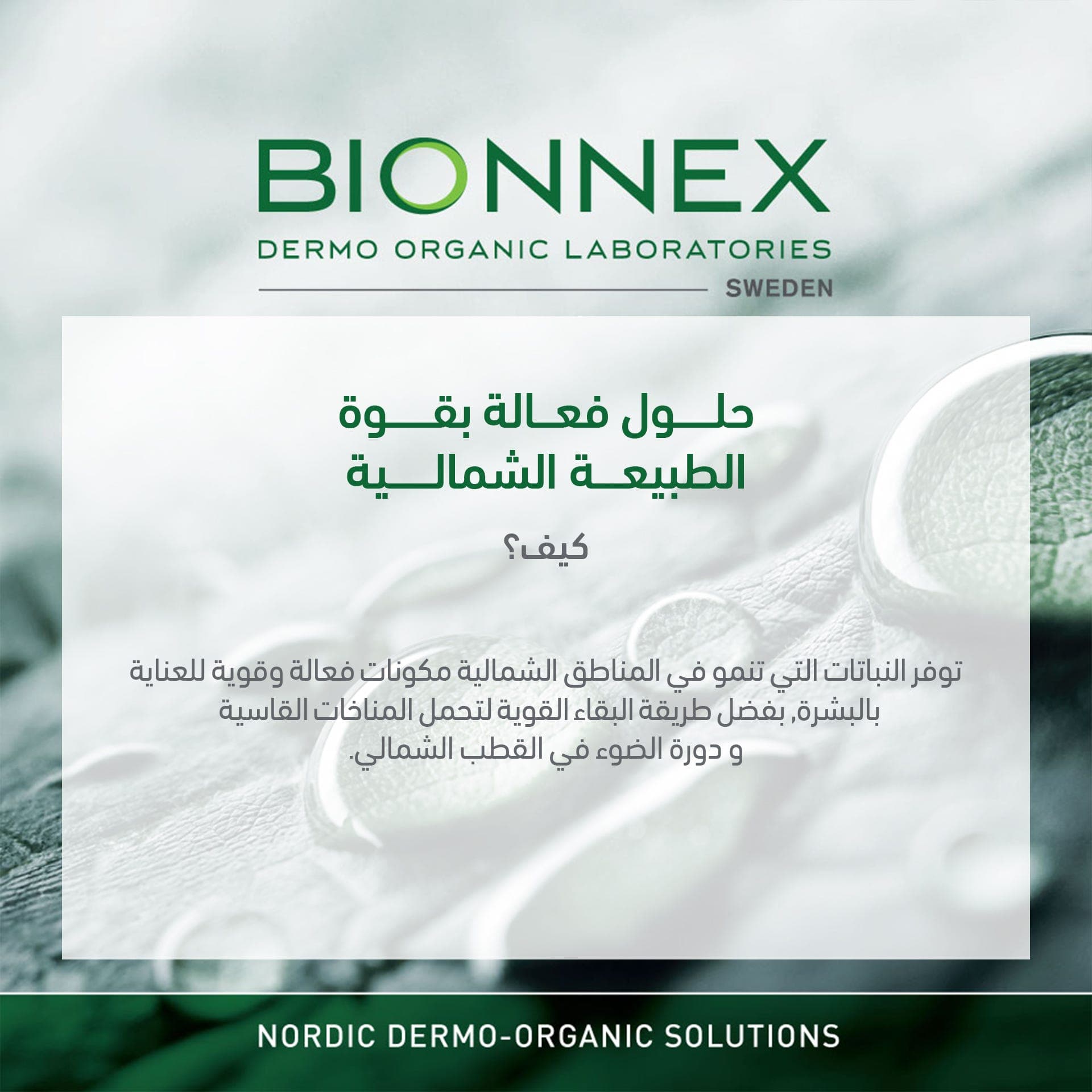 Bionnex The Nordea Glycolic Acid 8% 100ml