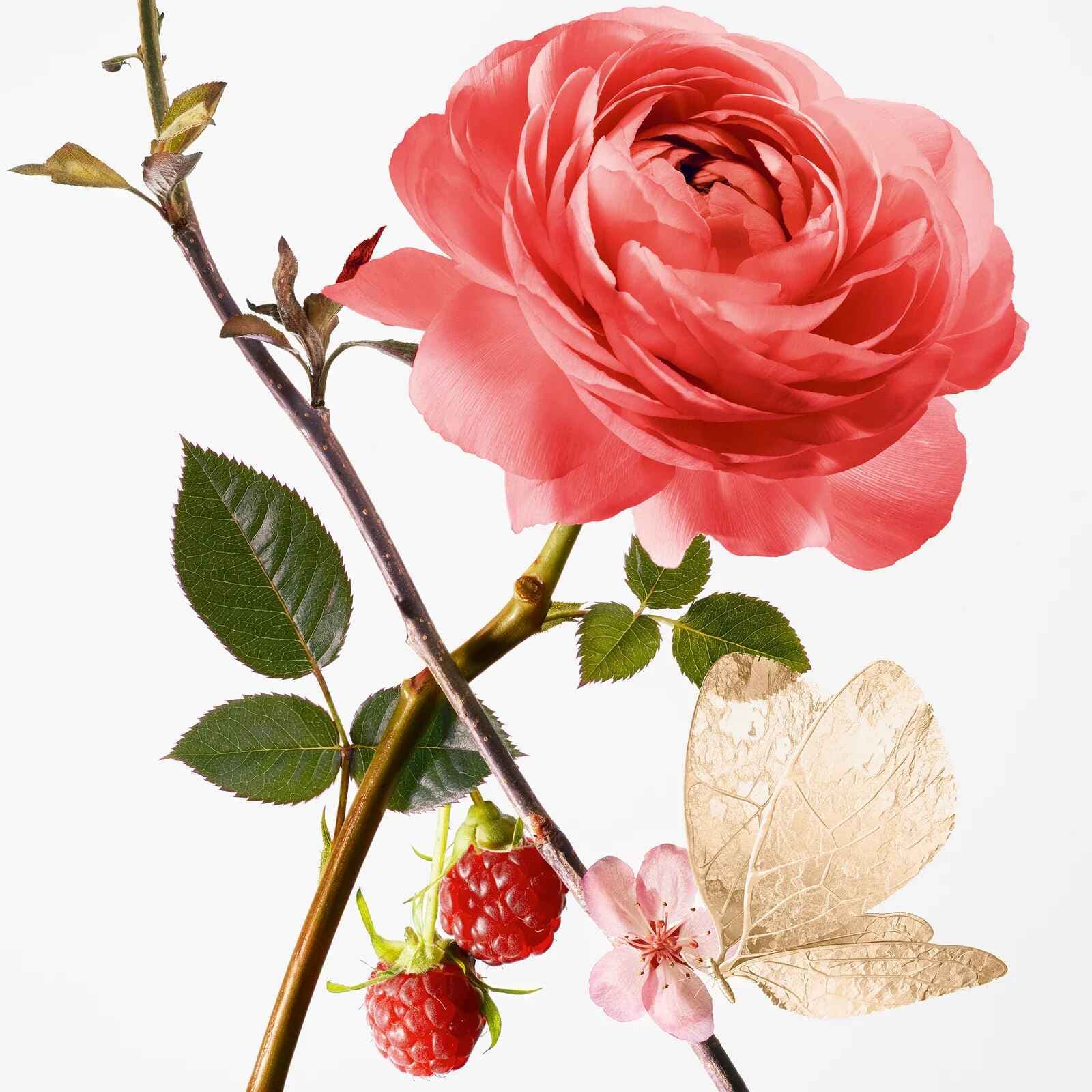 Goutal Rose Pompon Eau de Parfum for Women - 50ml