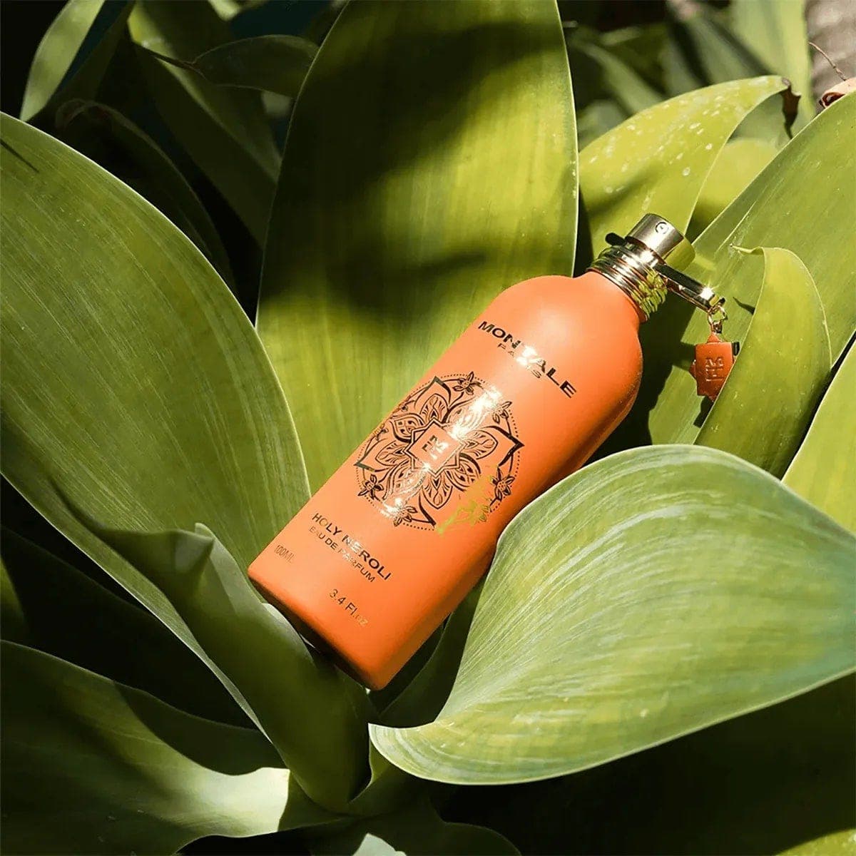 Montale Holy Neroli Eau de Parfum Unisex - 100 ml