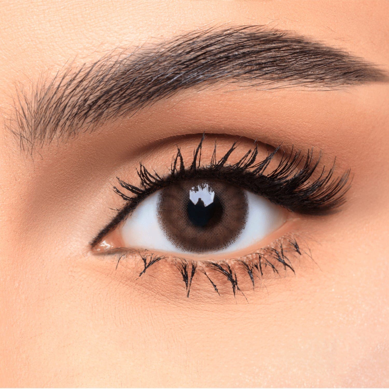 Afle Daily Contact Lenses Blonde (Power -2.25) - Pack of One Lense