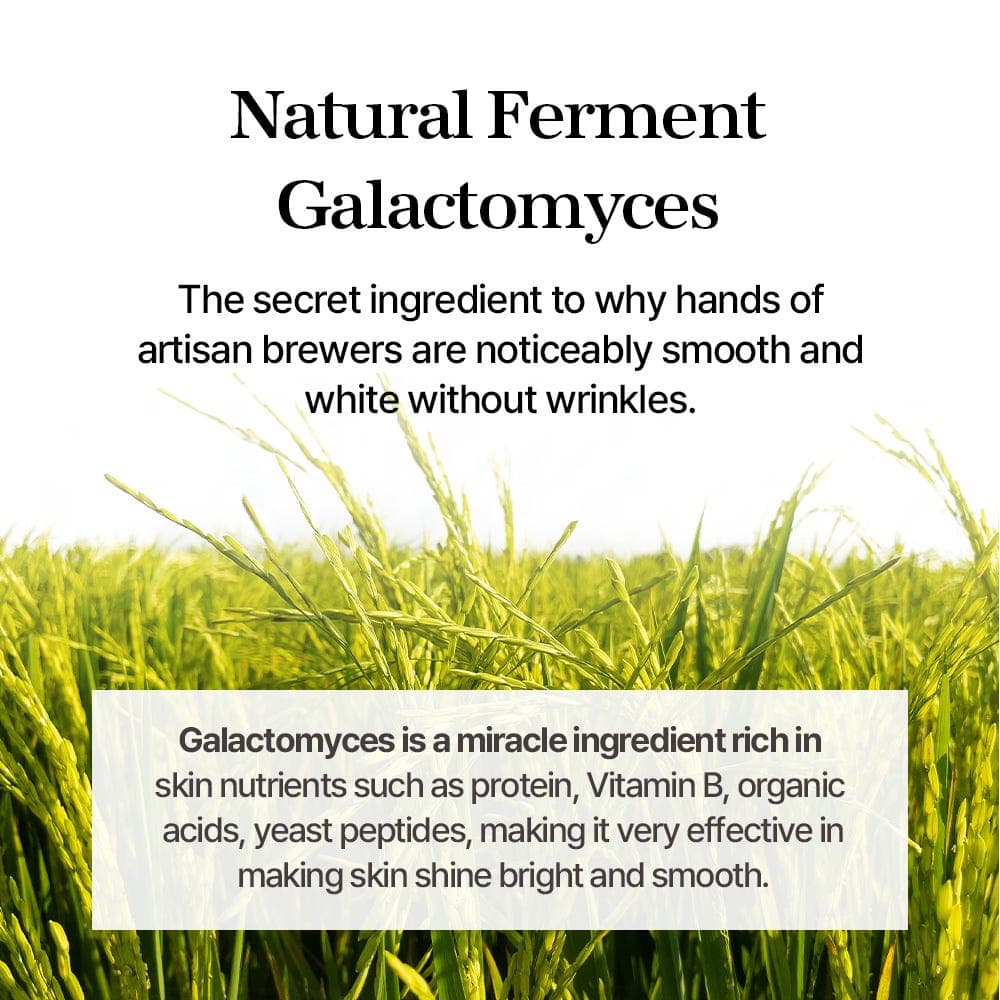 Mixsoon Mini Galactomyces Ferment Essence [20ml]