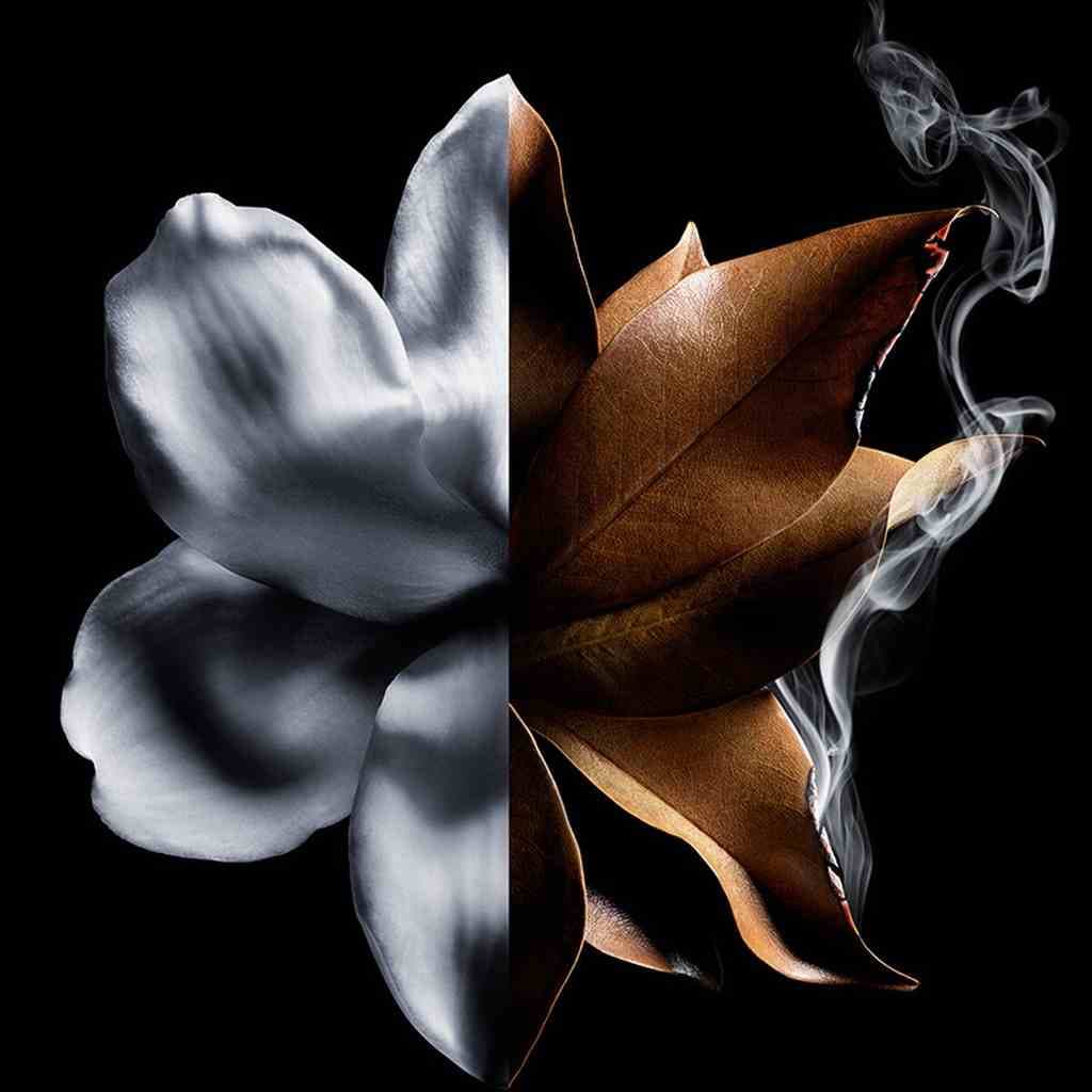 ماء عطر جيفنشي لانتيردي أبسولو عطر انتانس للنساء - 50 مل