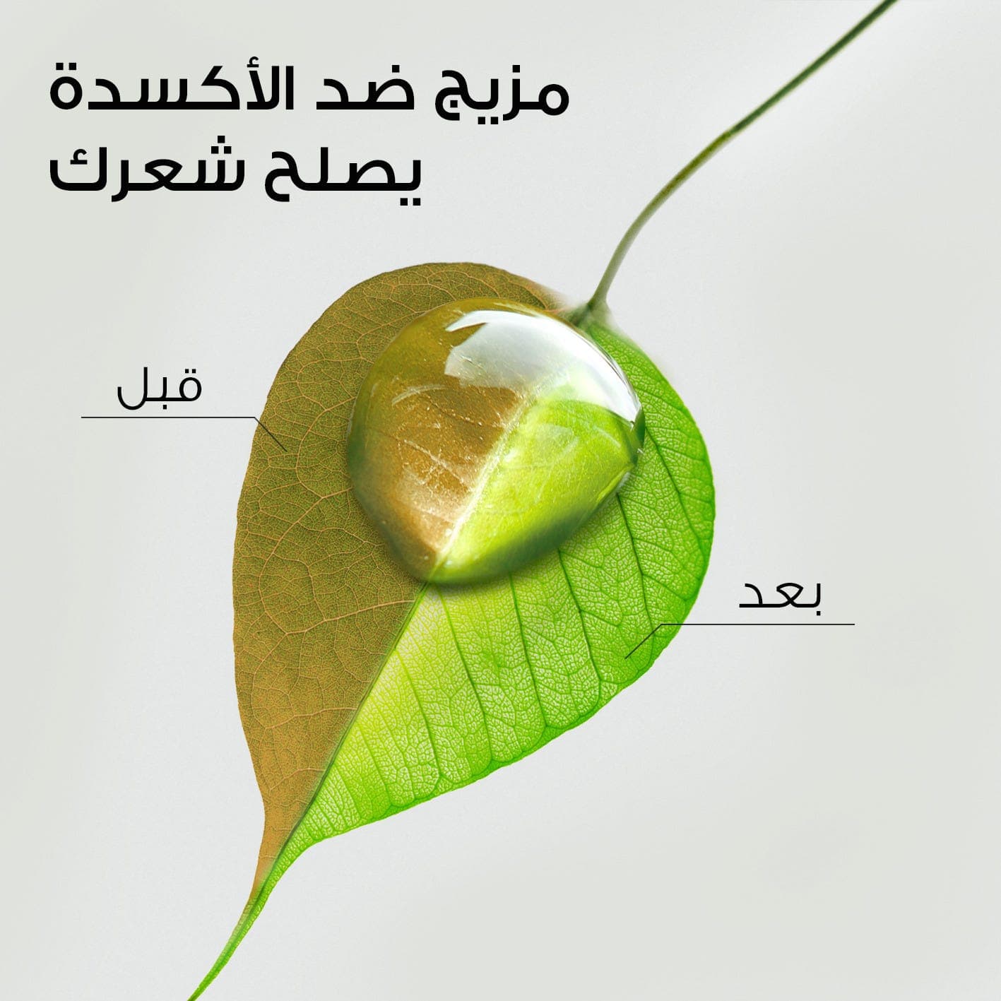 هيربال ايسنز شامبو كثافة بثمرة القهوة العربية 400 مل
