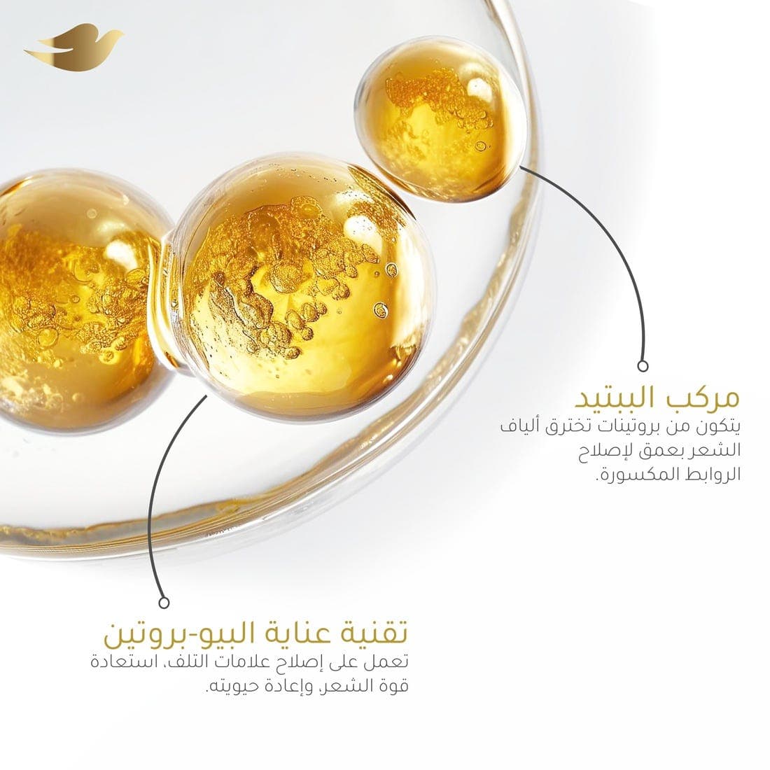 شامبو دوف، إصلاح الروابط، ٣٥٠ مل