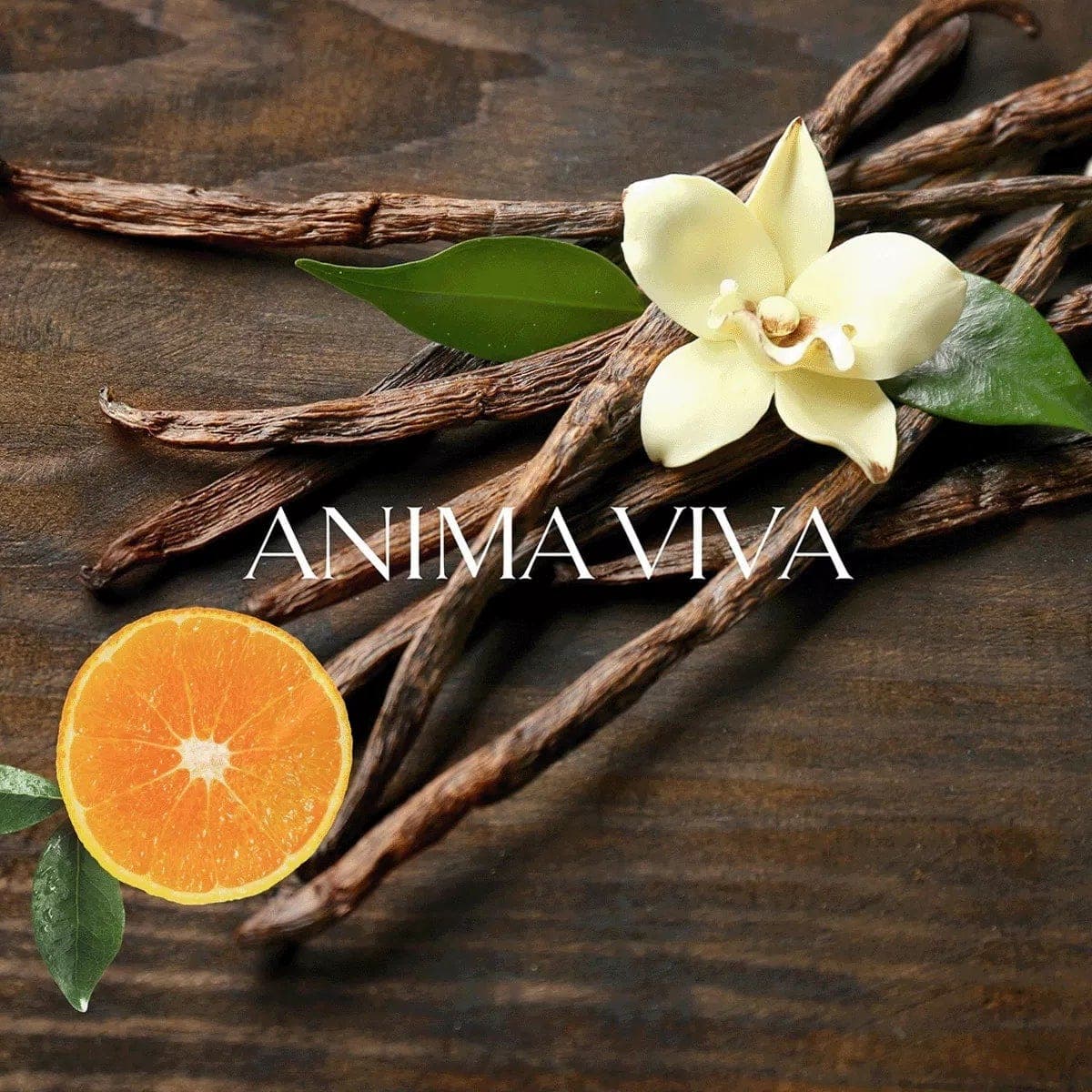 Ramon Bejar Anima Viva Extrait De Parfum Unisex - 100 ml