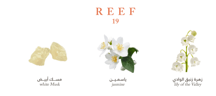 Reef Hair Perfume 19 50ml
