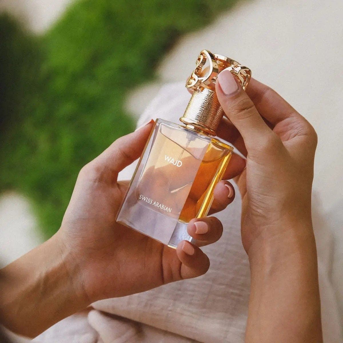 Swiss Arabian Wajd 1080 50Ml Edp Sa