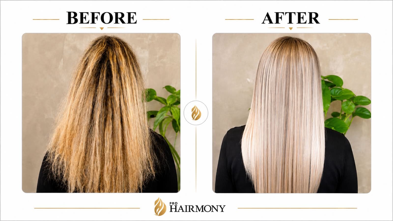 Prohairmony Apple Stem Cell Hair Straightening Kit