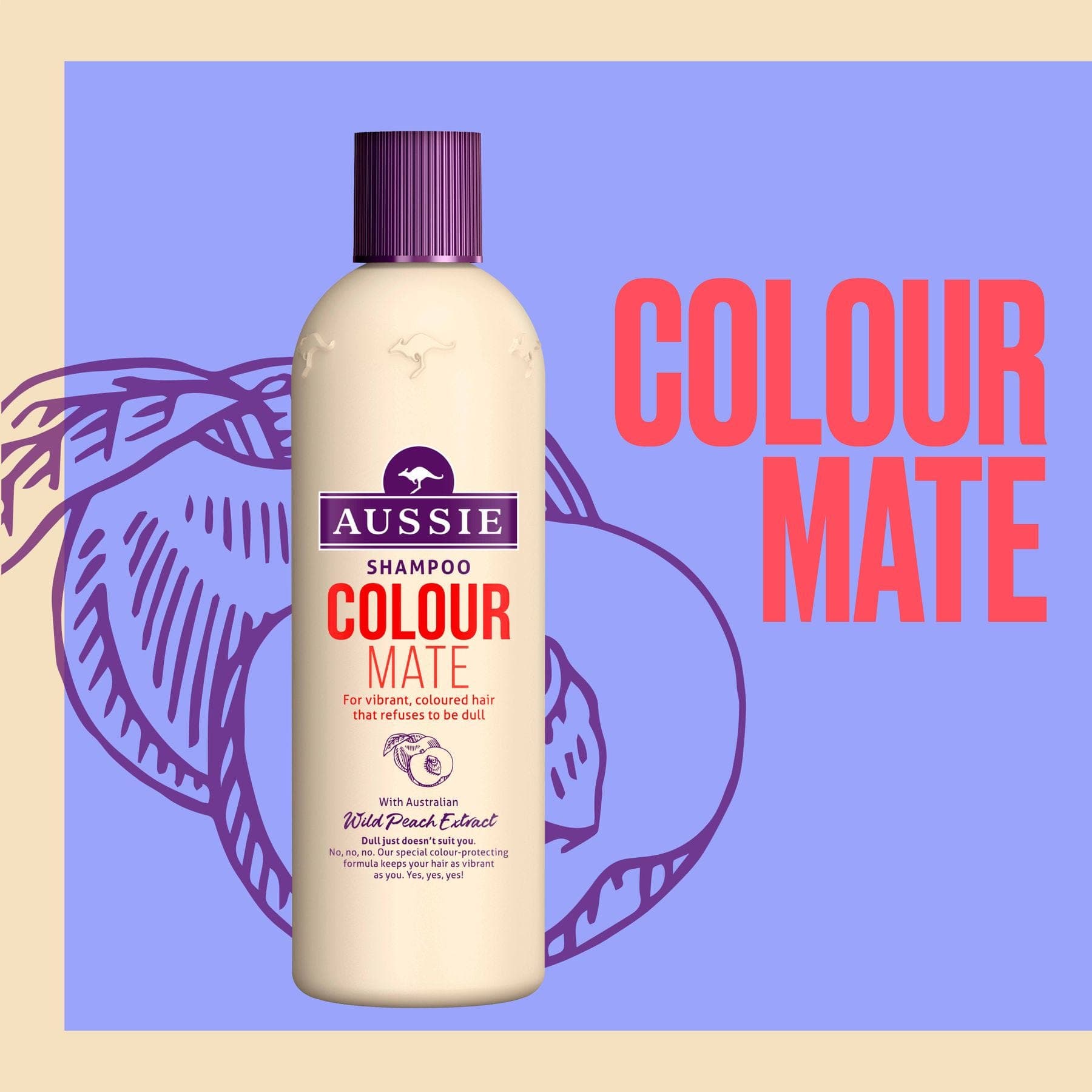 Aussie Colour Mate Shampoo, For Vibrant, Coloured Hair 300ML Silicone & Paraben Free