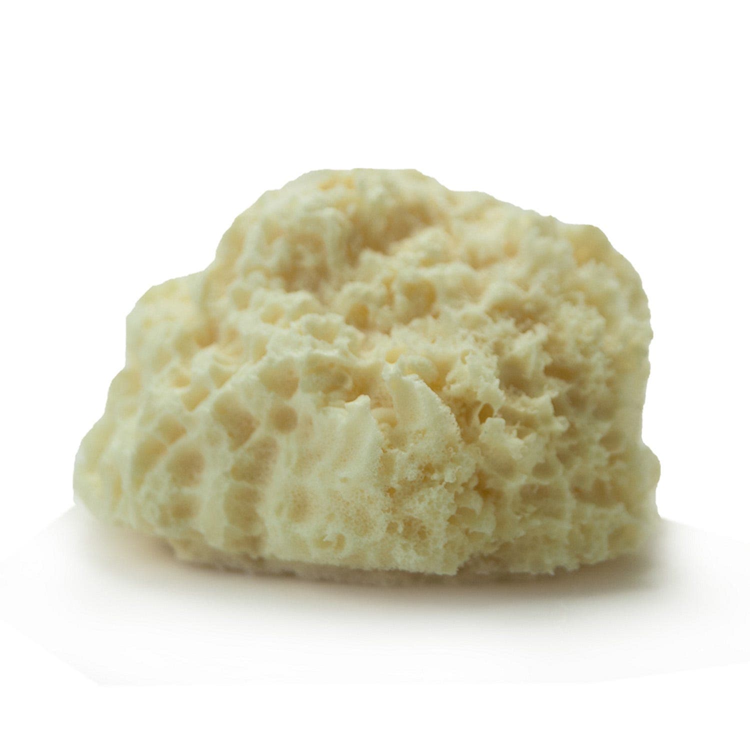 Martini Body Sponge Stone Shape With Shea Butter