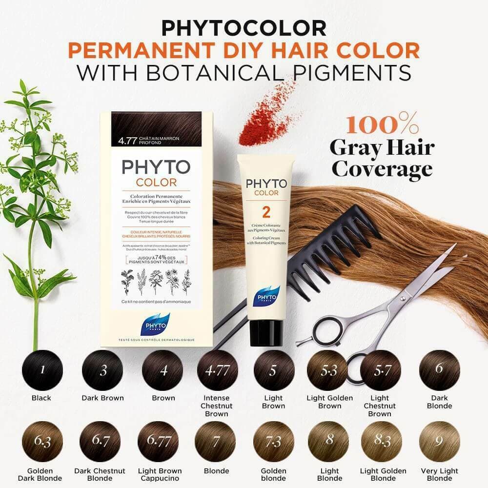 Phyto Color Hair Color Intense Chestnut Brown 4.77