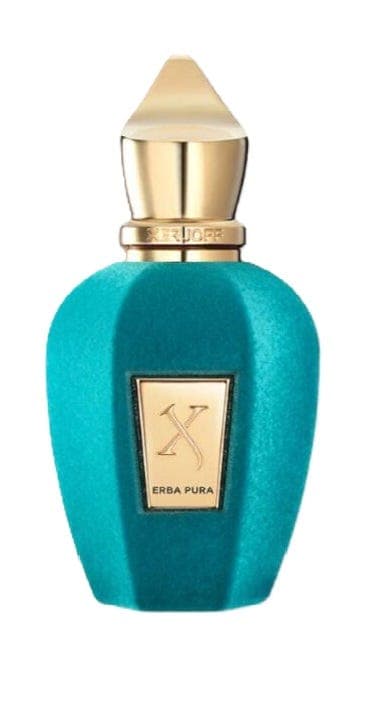 زرجوف ايربا بورا عطر او دي بيرفيوم - 50 مل